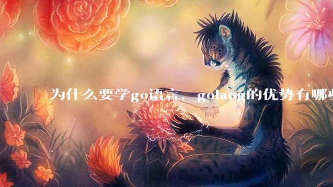 为什么要学go语言,golang的优势有哪些?