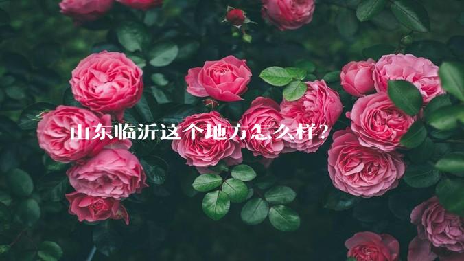 山东临沂这个地方怎么样?