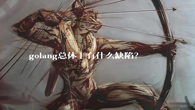golang总体上有什么缺陷?