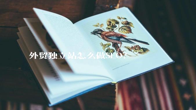 外贸独立站怎么做SEO?
