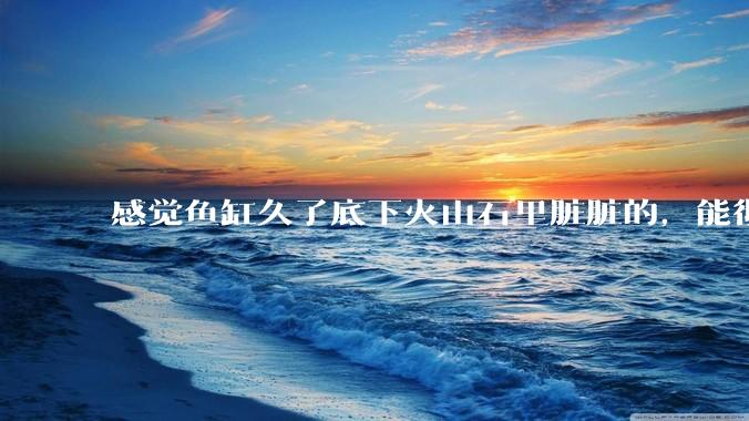 感觉鱼缸久了底下火山石里脏脏的,能彻底换水清理一遍不?