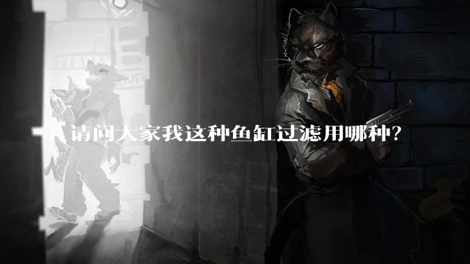 请问大家我这种鱼缸过滤用哪种?