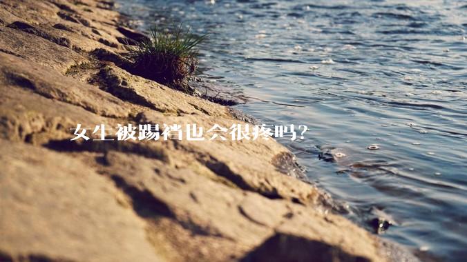 女生被踢裆也会很疼吗?